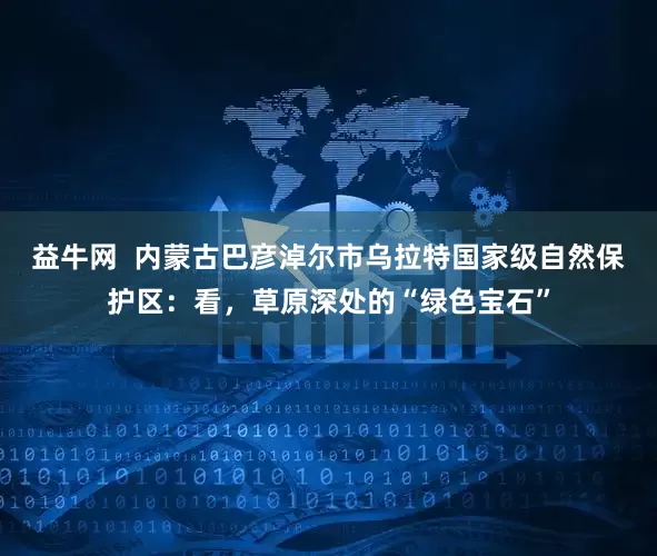 益牛网  内蒙古巴彦淖尔市乌拉特国家级自然保护区：看，草原深处的“绿色宝石”
