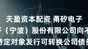 天盈资本配资 甬矽电子: 甬矽电子（宁波）股份有限公司向不特定对象发行可转换公司债券募集说明书摘要