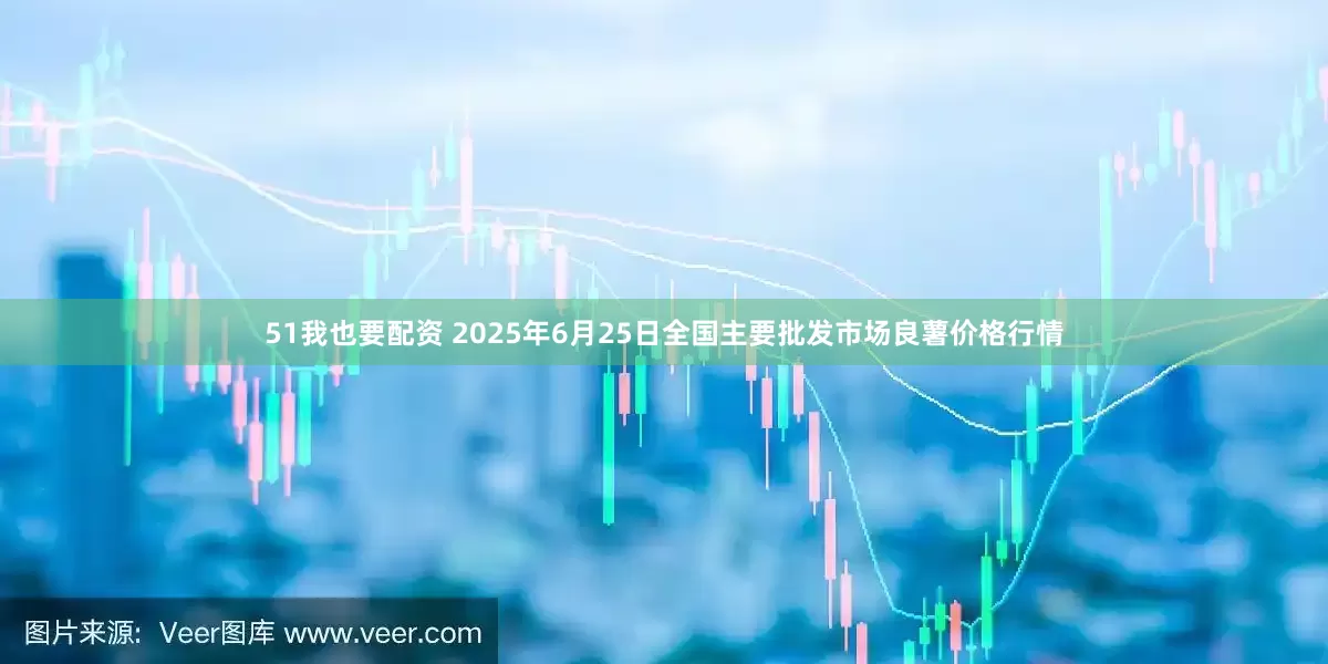 51我也要配资 2025年6月25日全国主要批发市场良薯价格行情
