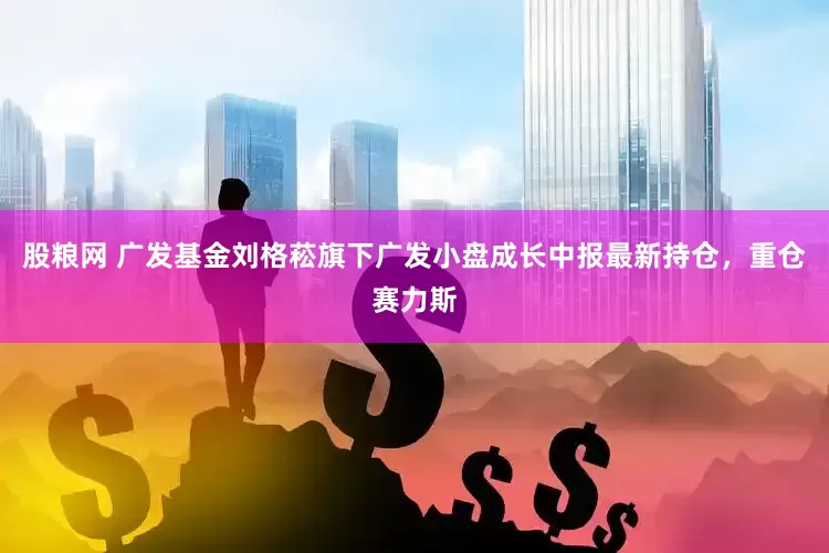 股粮网 广发基金刘格菘旗下广发小盘成长中报最新持仓，重仓赛力斯
