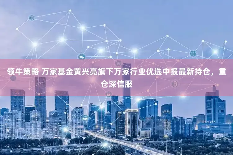 领牛策略 万家基金黄兴亮旗下万家行业优选中报最新持仓，重仓深信服